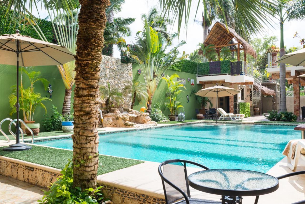 Alamos Inn Hotel Con Jacuzzi Y Piscina Канкун Екстер'єр фото